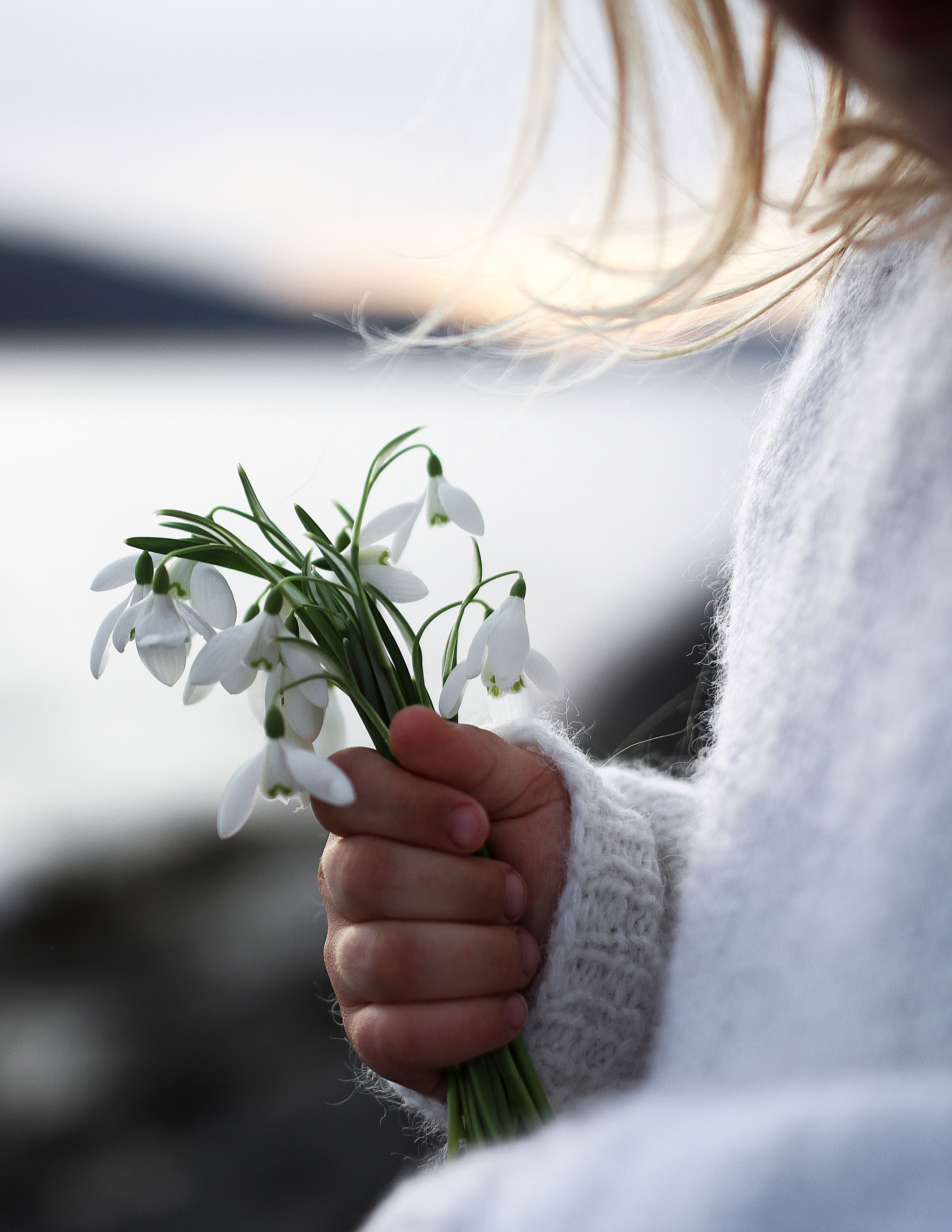 Blomsterplukking i Nordfjord