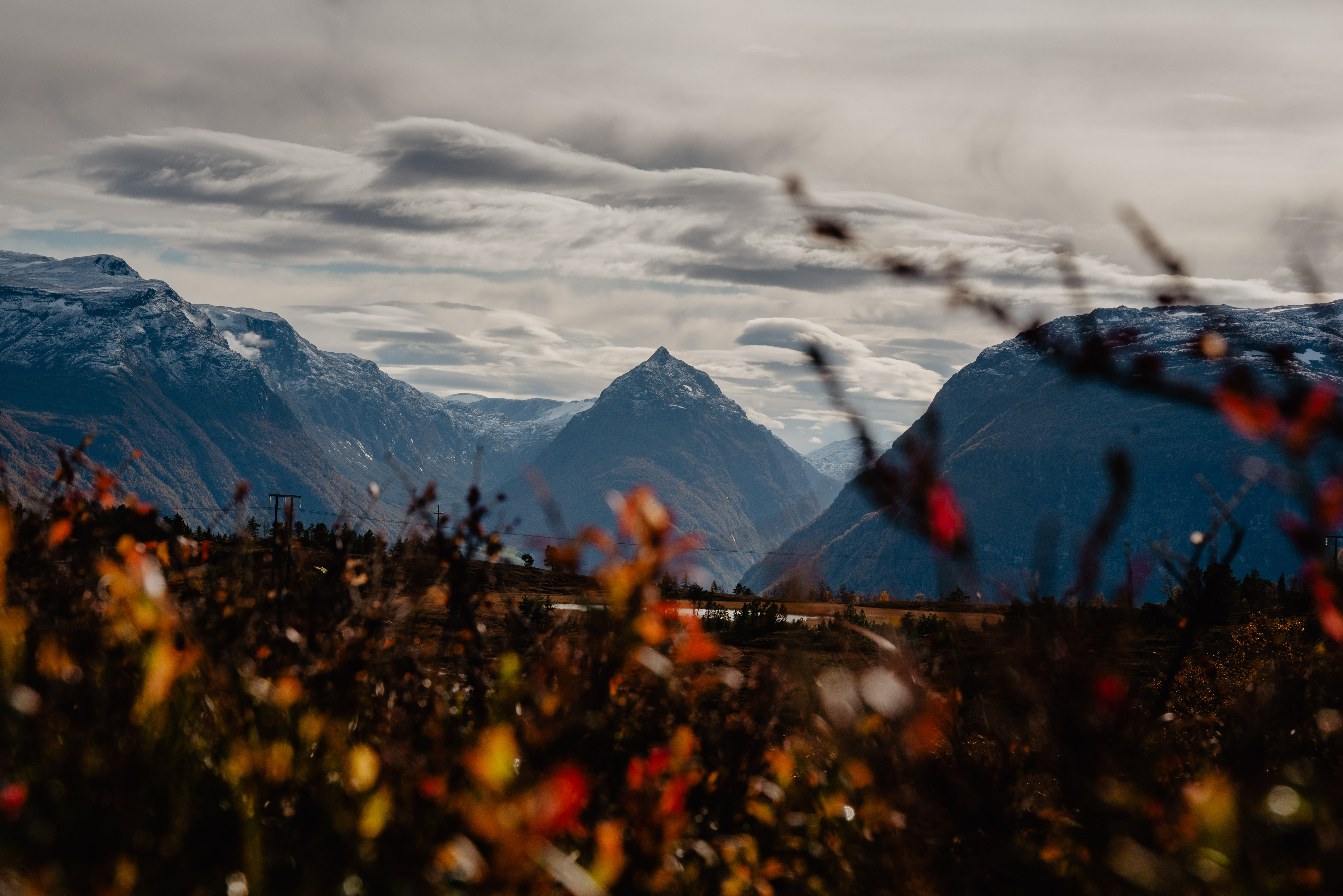 Haugsvarden - Thomas Sagvik