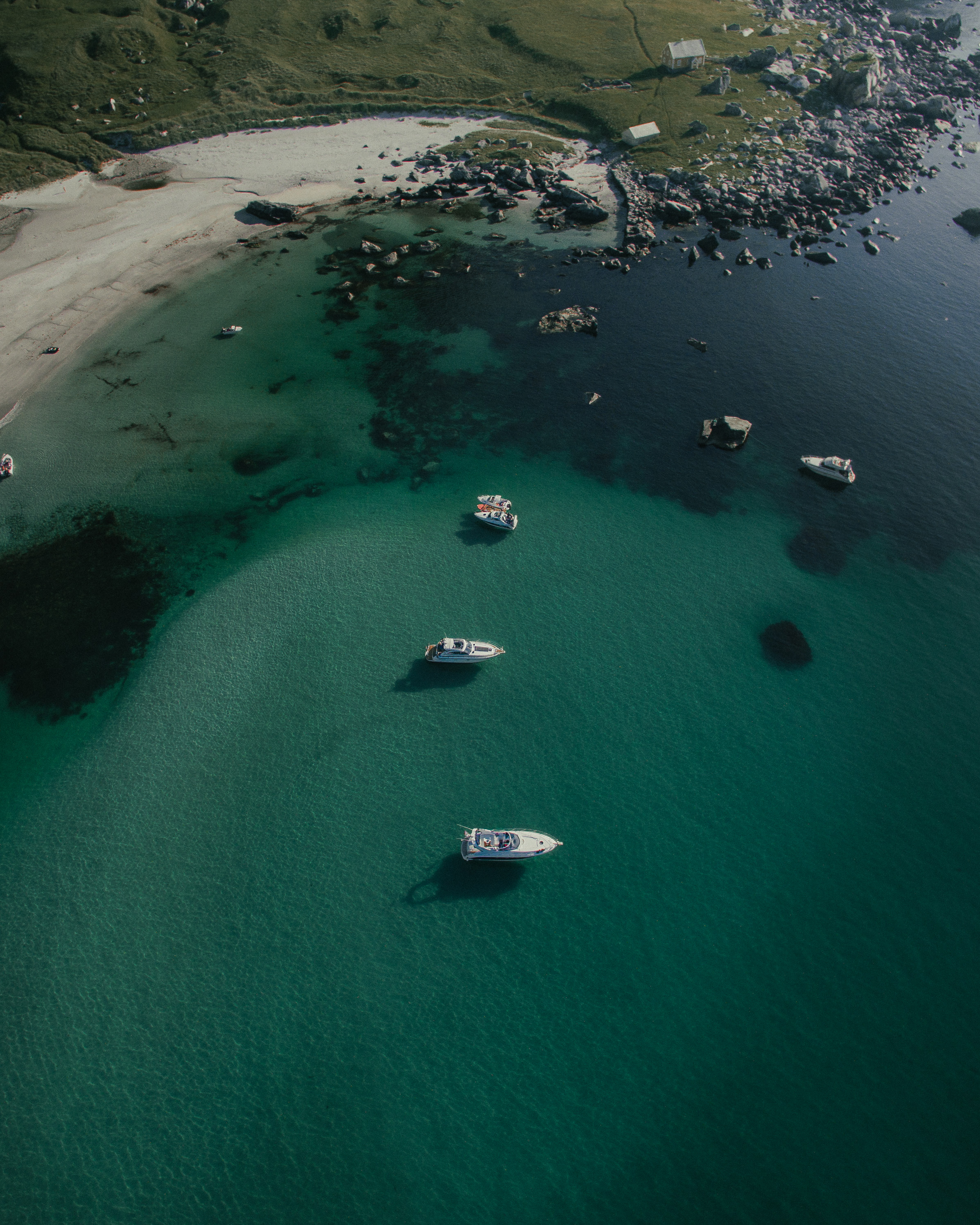  Vetvika Høst - Thomas Sagvik