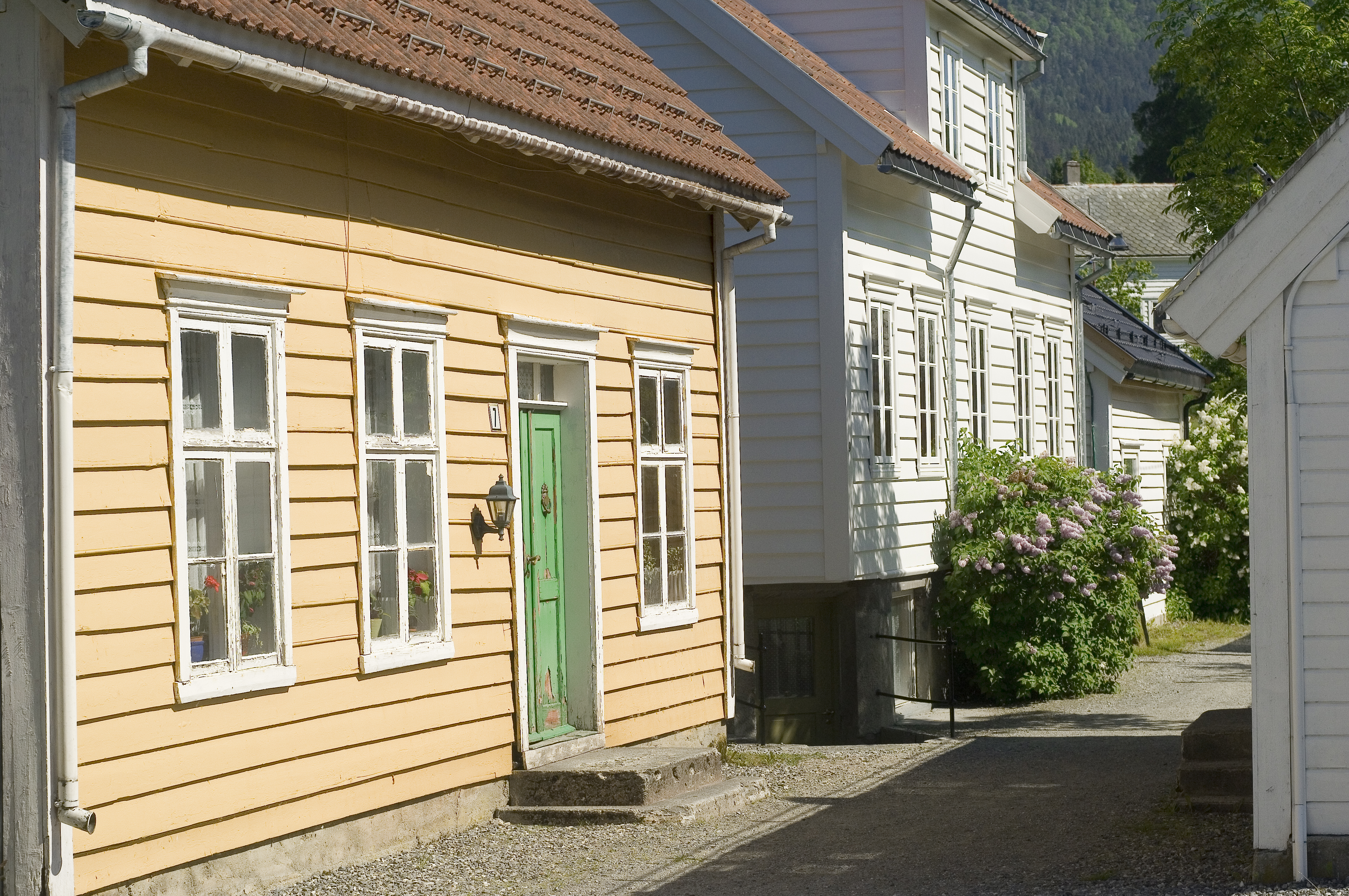 Eidsgata- Nordfjordeid