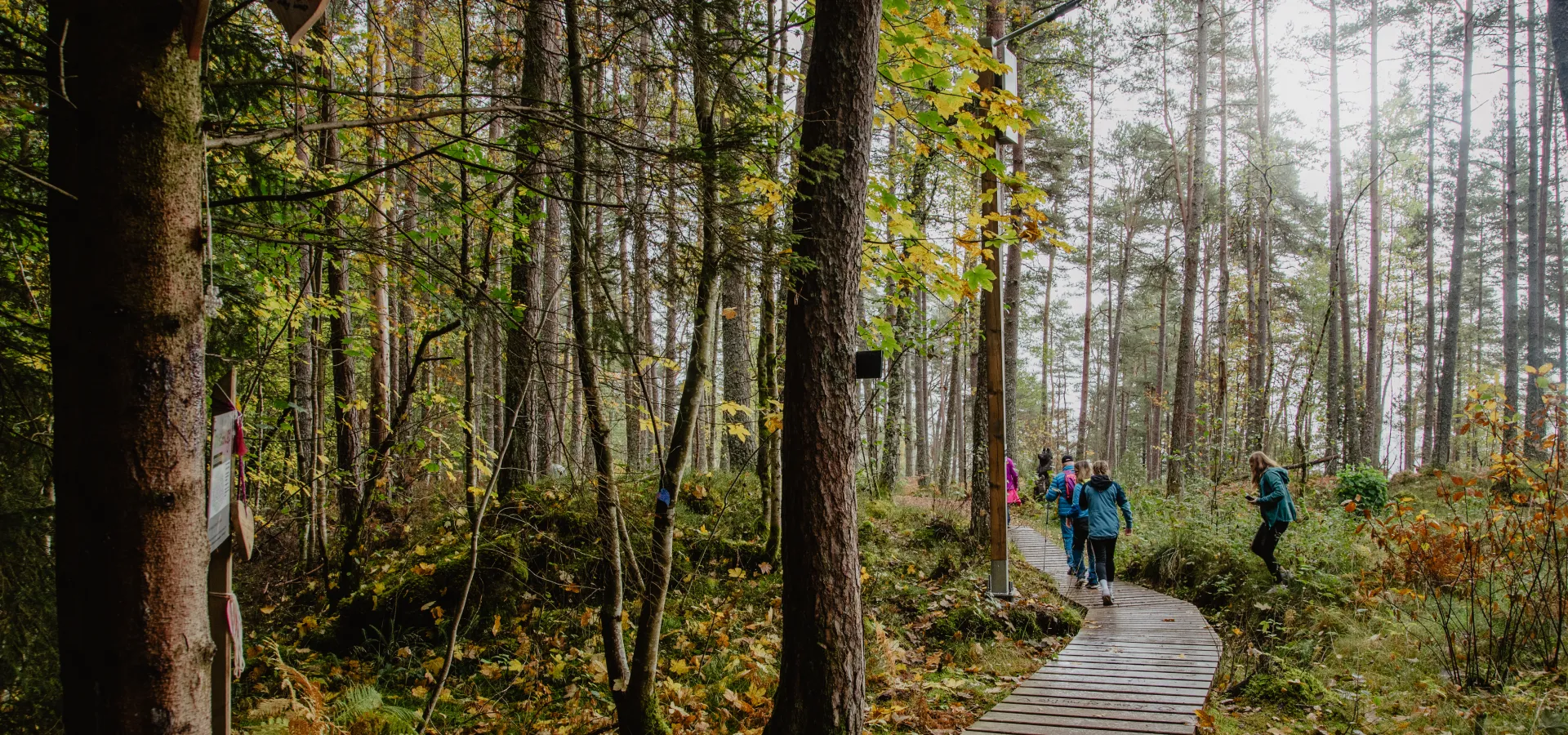 Trivselsskolen - Thomas Sagvik