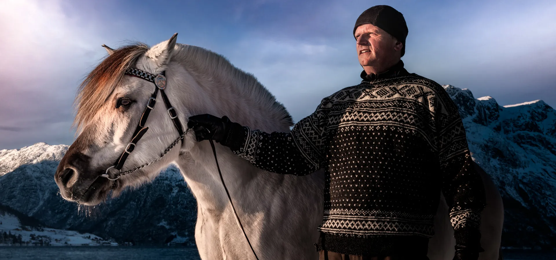 Fjordhest vinter