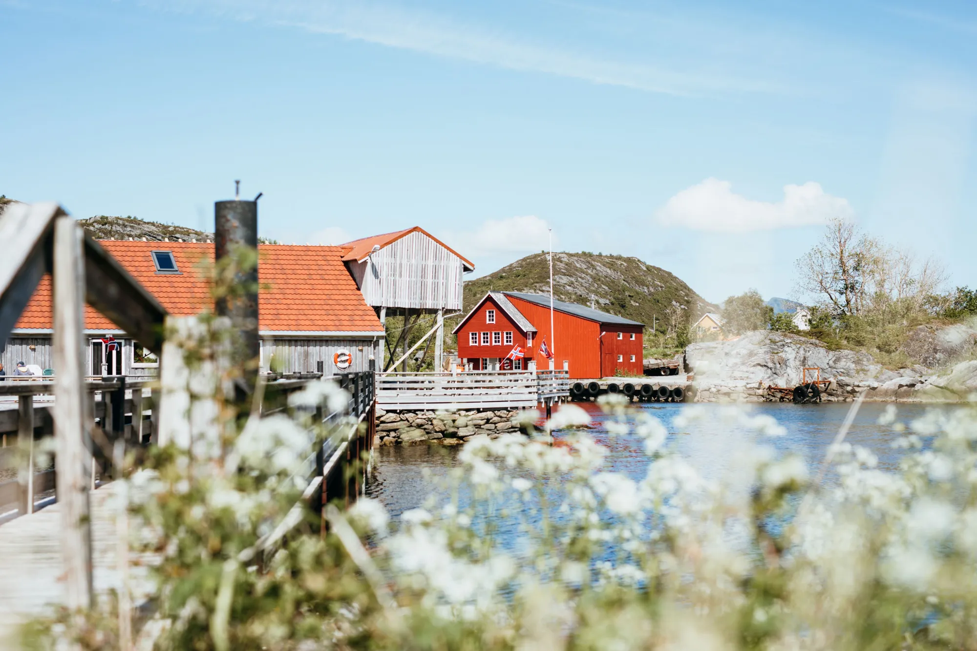 Skjærbuda