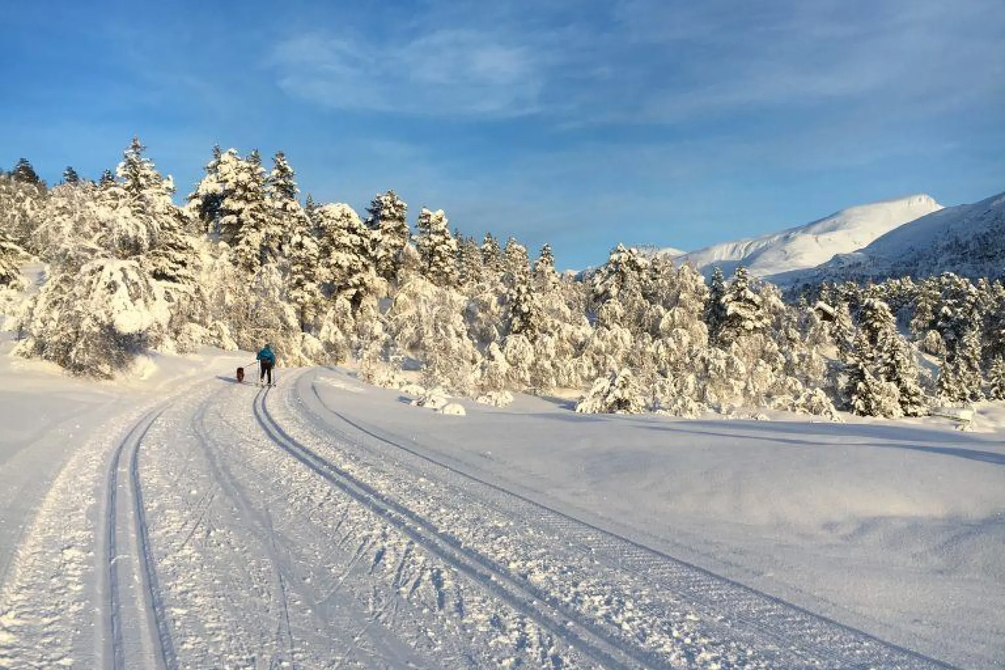 Langrenn | Nordfjordeid