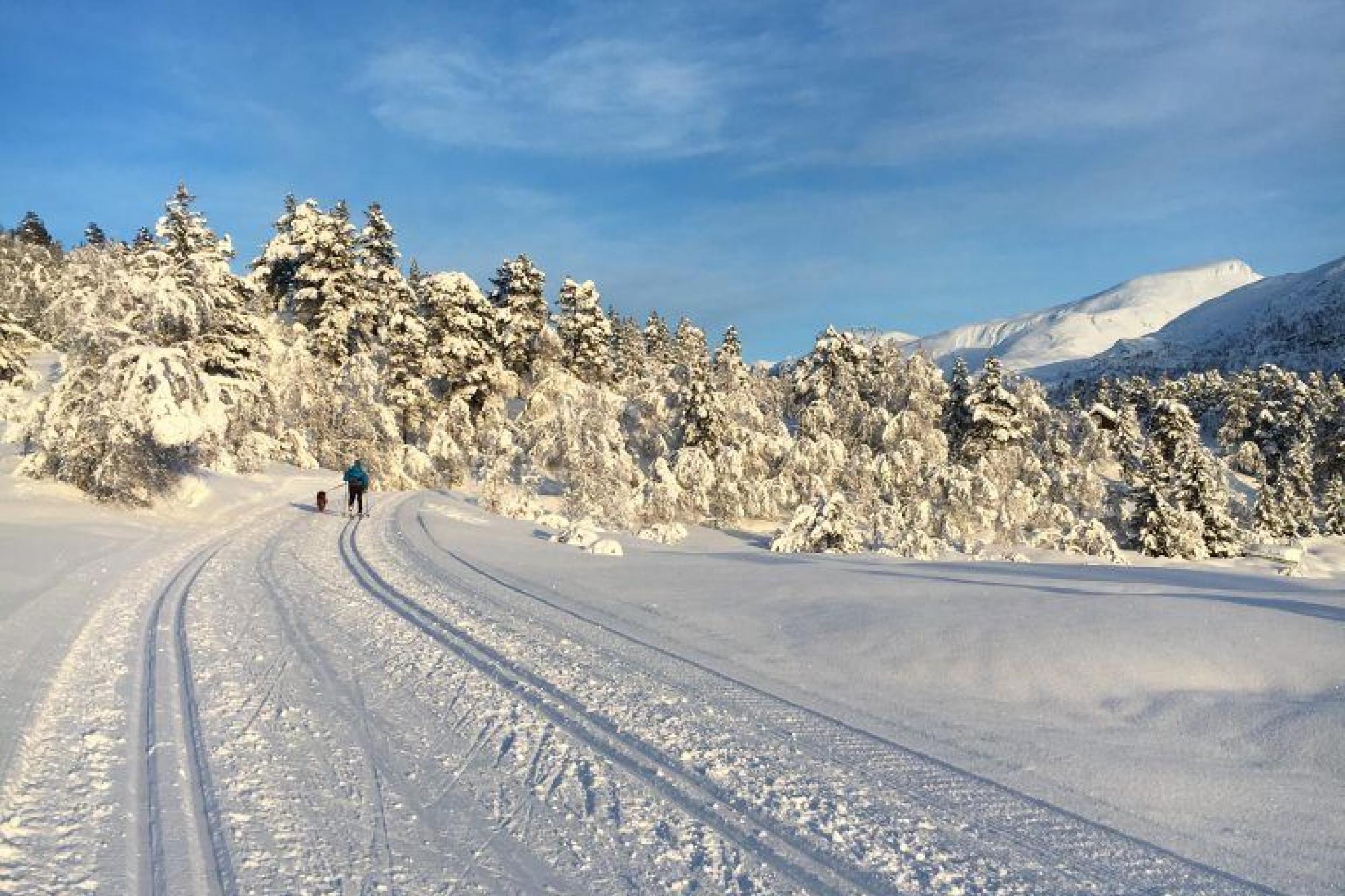 Cross country skiing | Nordfjordeid