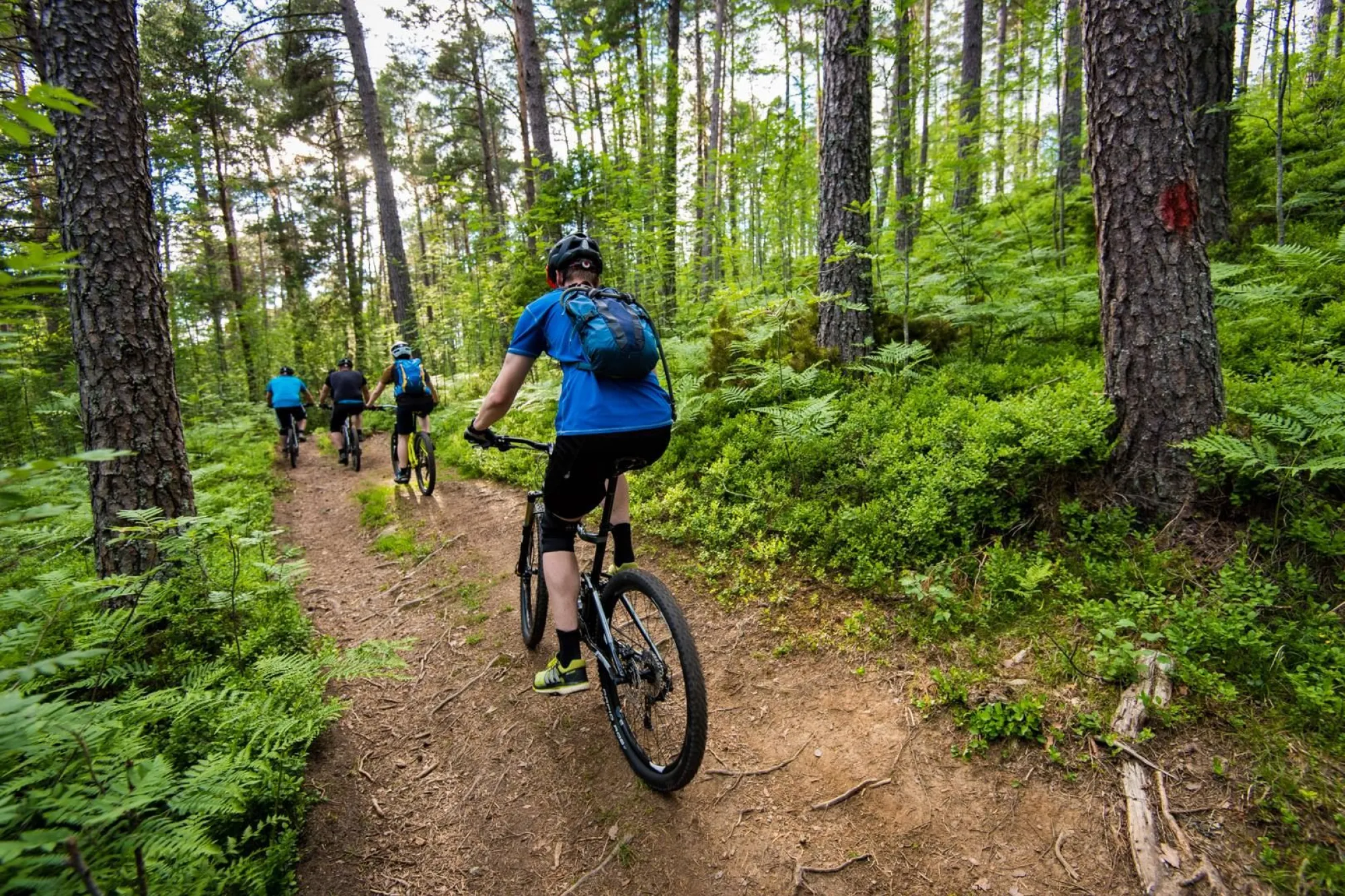 Guida Stisykling | Nordfjord Aktiv