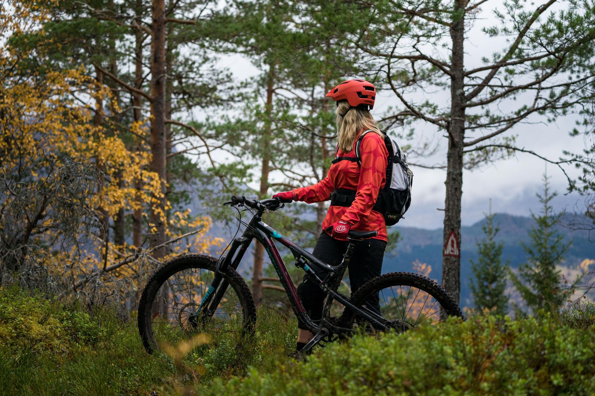 Mountain bike utleige | Nordfjord Aktiv