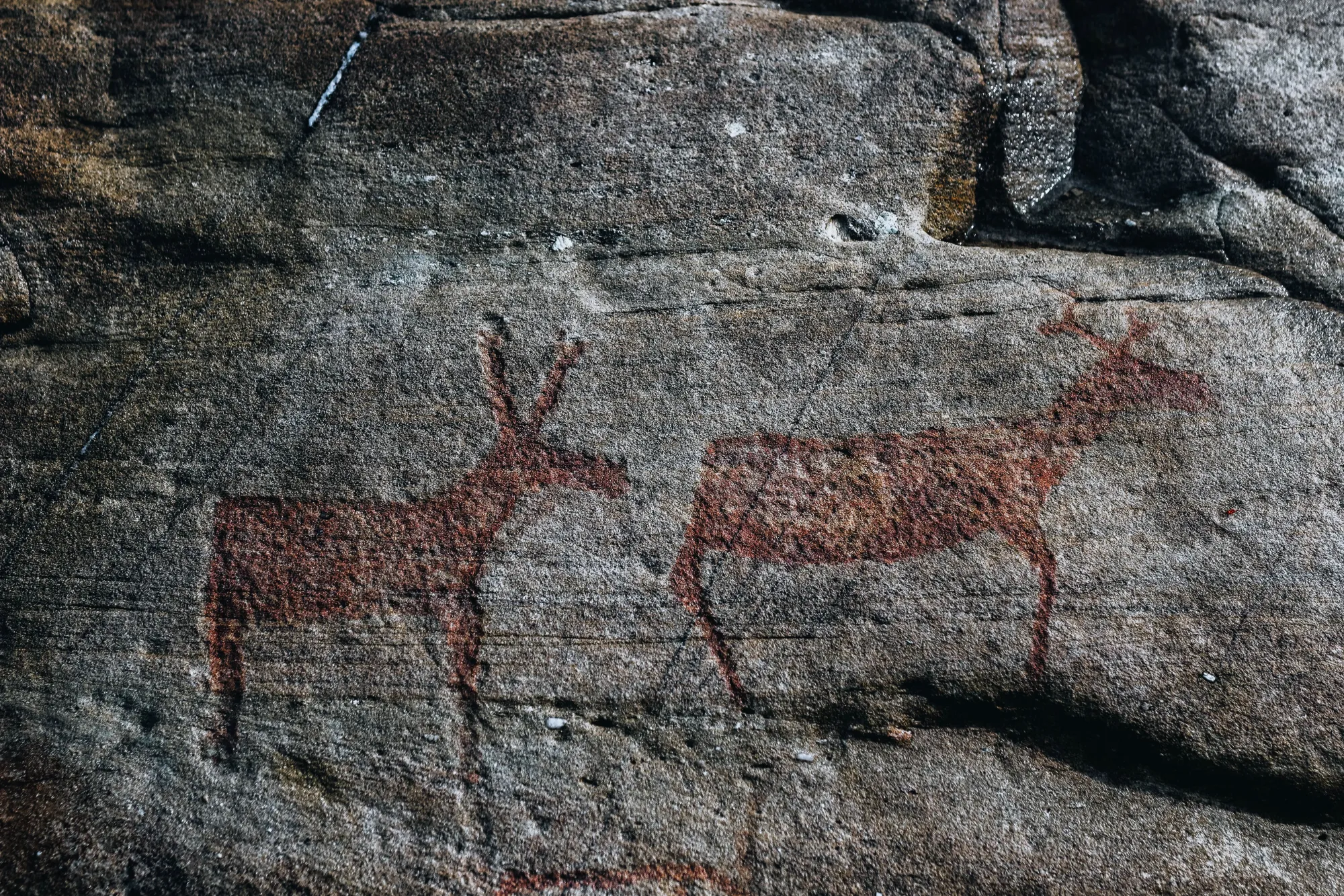 VINGEN - Naturens Kolossalmuseum