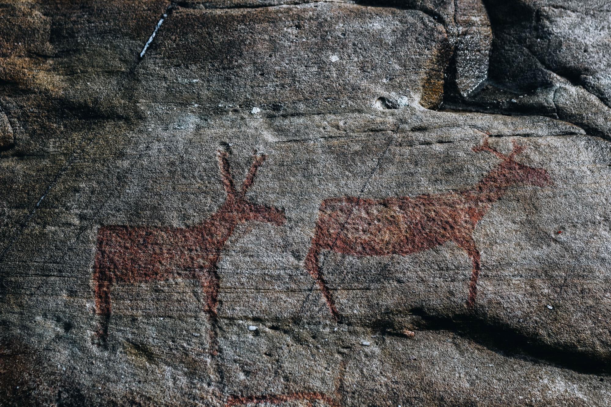 Guided tour to the rock carvings in Vingen