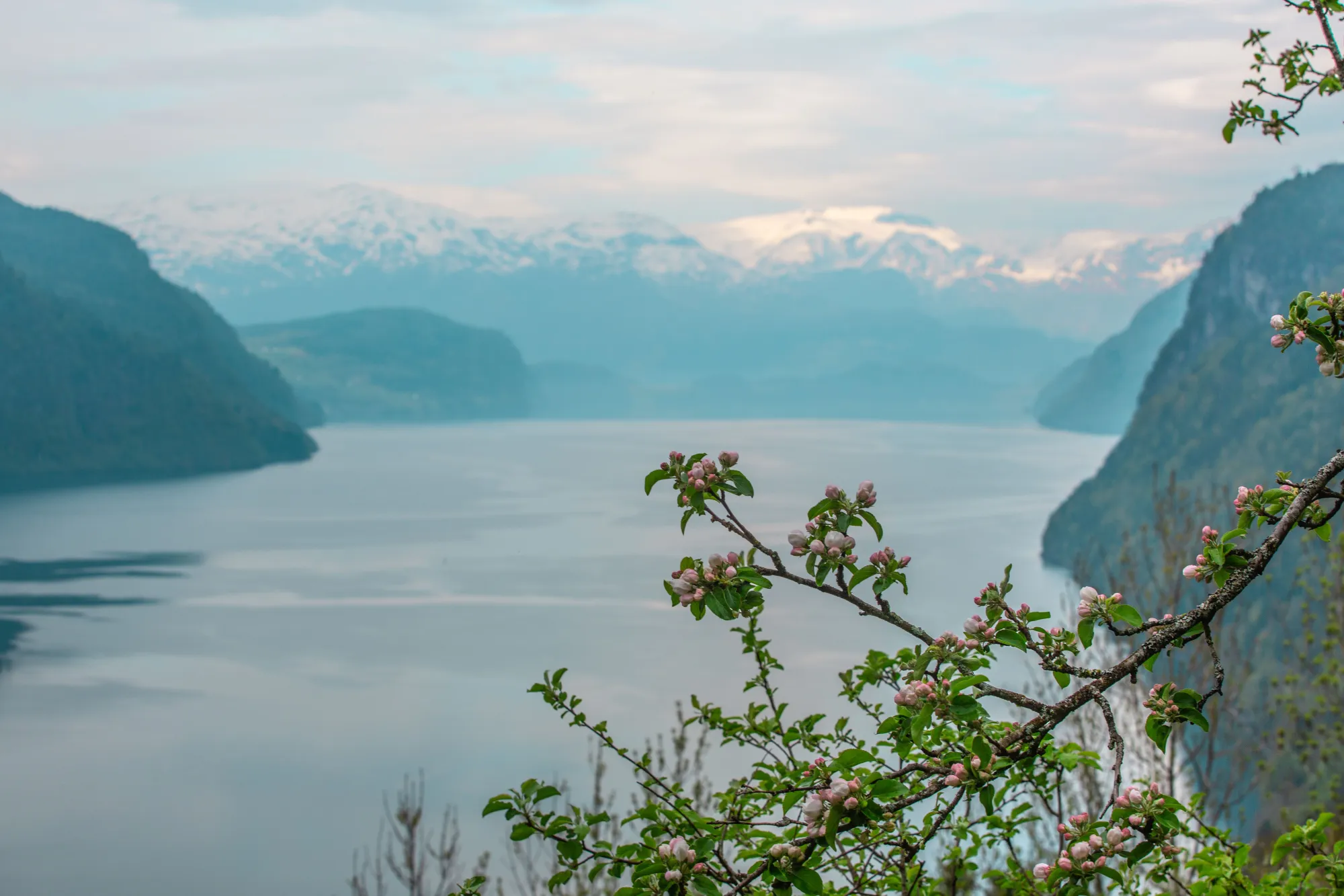Panoramavegen