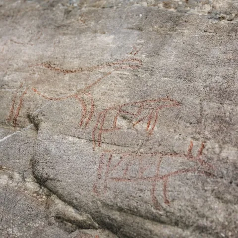 Helleristning av eit hjortedyr på berget i Vingen.
